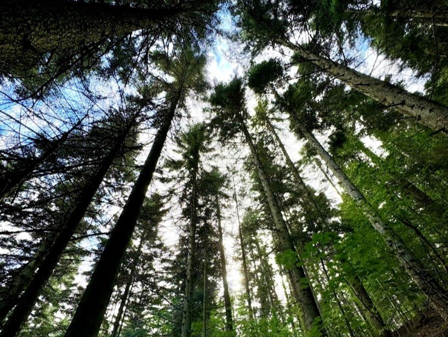 GRANDE TRAVERSATA DELLE ALPI - GTA: Tratto Sud Piemonte